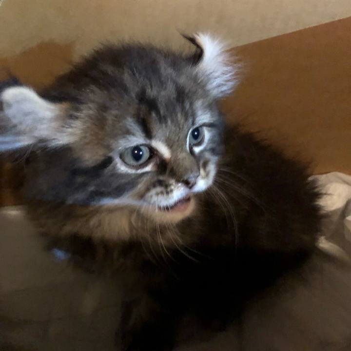 A0e444d4 09e1 483c 81b0 0a9dc17a6dab 1567581712979