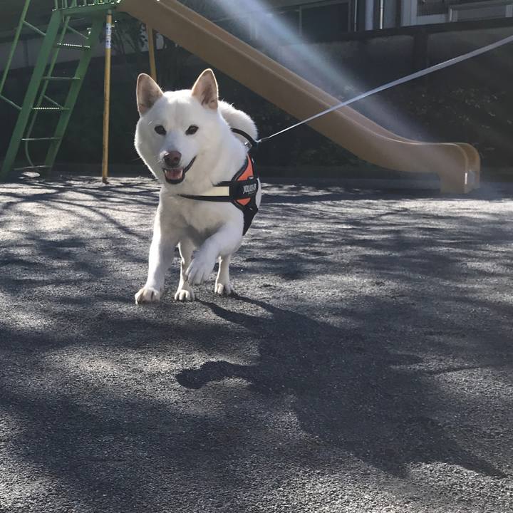 A0e46de5 4a40 450b 86e2 d5aff65aa029 1542940278772