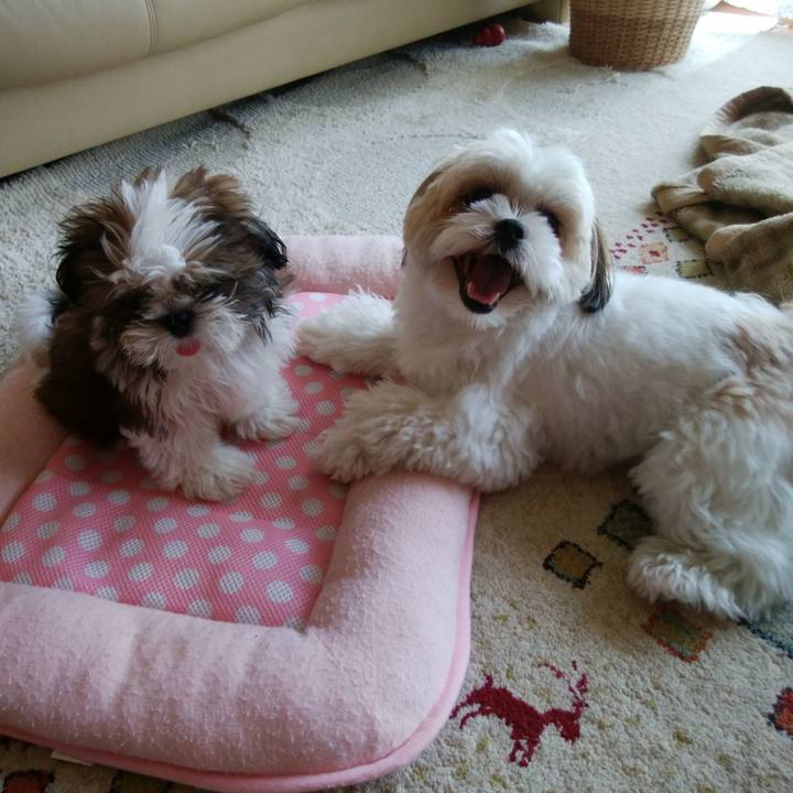 A0e49bd7 9764 4d4f b6f5 b58afabeac64 1533091584114