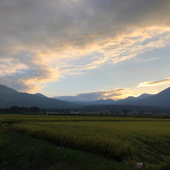 A0e4bb01 8812 444b a08a 4b75139dc65e 1568458374619