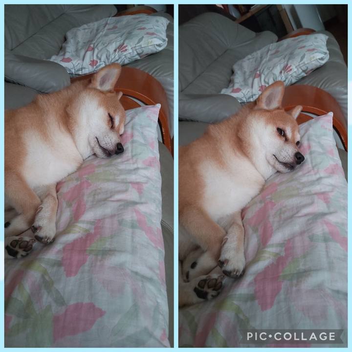 A0e50af0 8325 4d9a 9010 6a9d17cd3acc 1757052819378