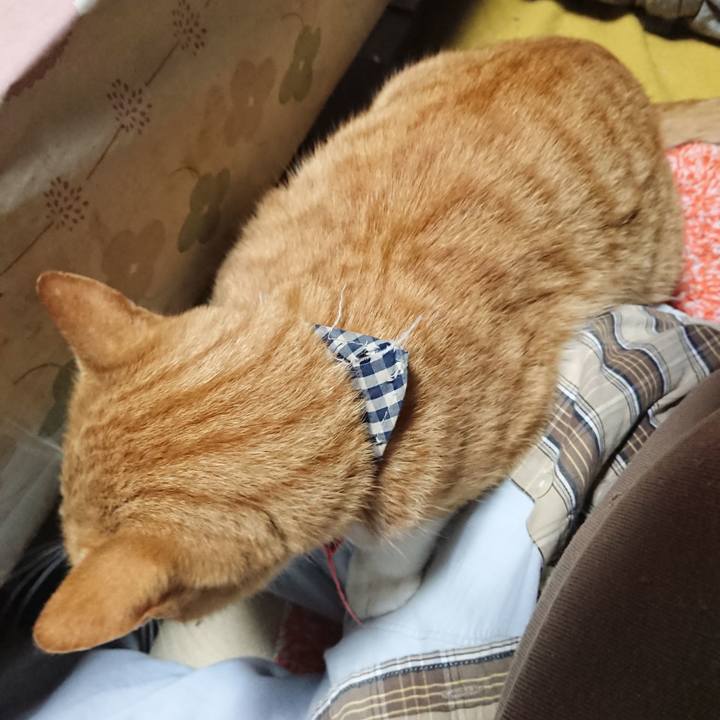 A0e51a70 cf94 42ae 8184 41ddd83e601a 1572209392244