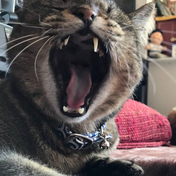 A0e53788 1a0d 405e 9b8e 12b10f74c8b1 1508998691174