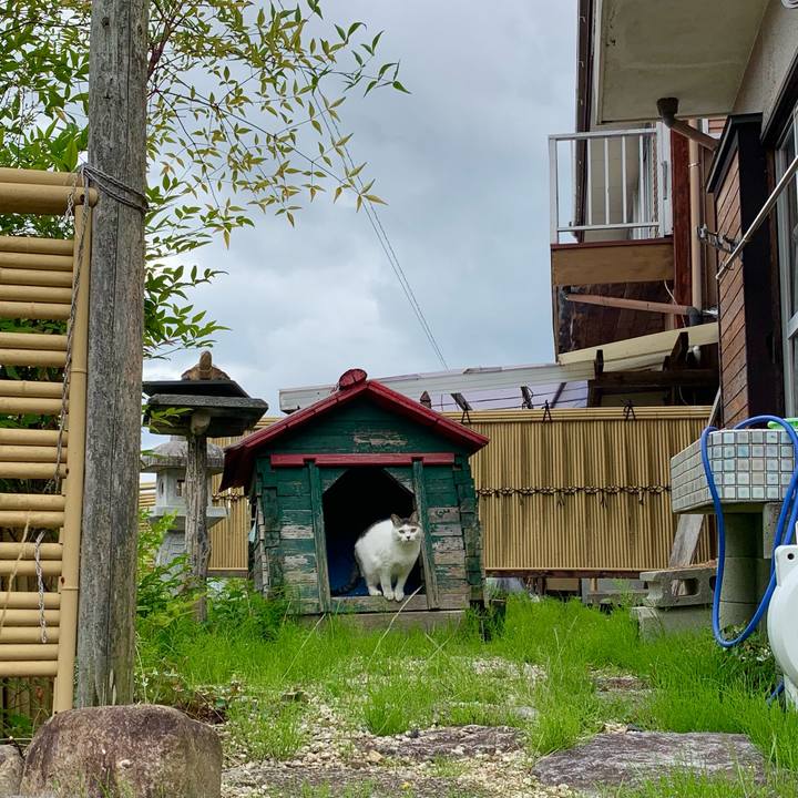 A0e5a151 882b 4fc8 848e 6820910dabe5 1624357163252