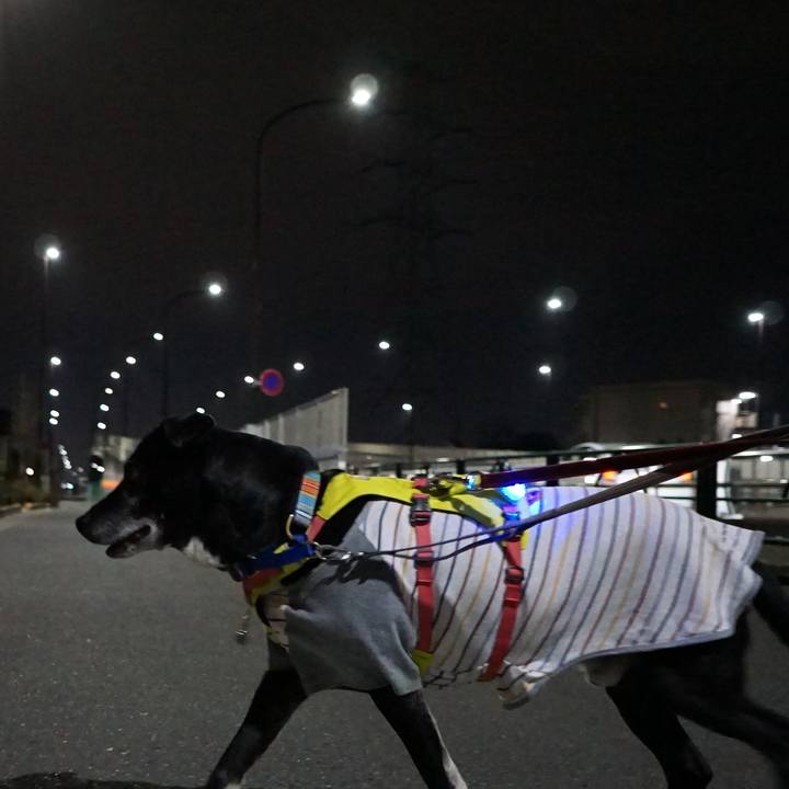 A0e5d284 12a2 482d a283 0569ab9e9b9b 1770721981193