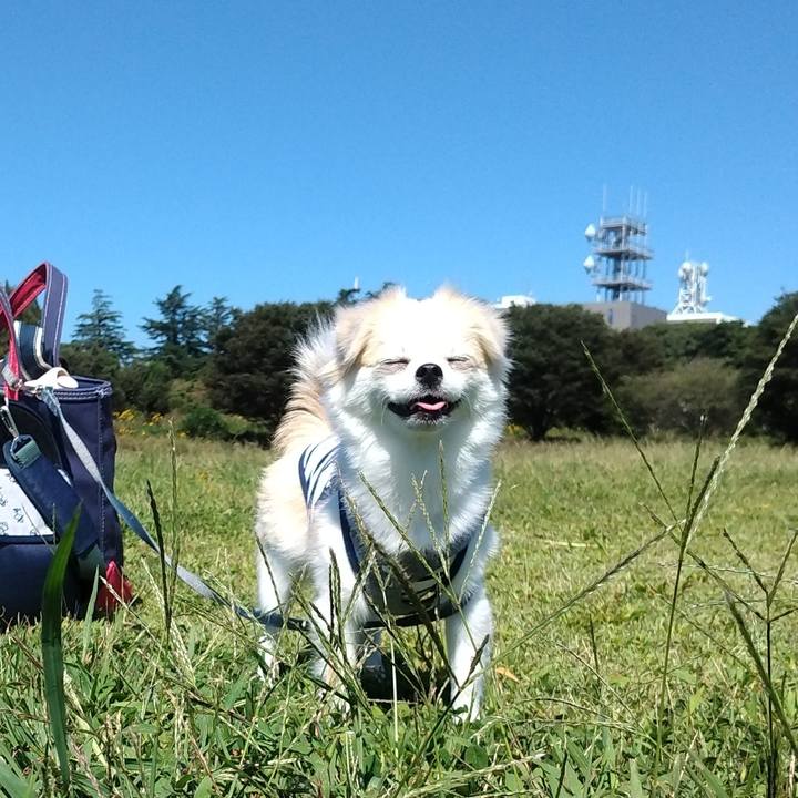 A0e5e136 d0e1 46fd b78e 84005c49b17e 1632381300182