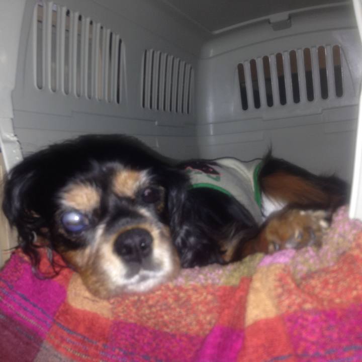 A0e604d8 be7e 40dd 8676 93171f8962d5 1543638136651