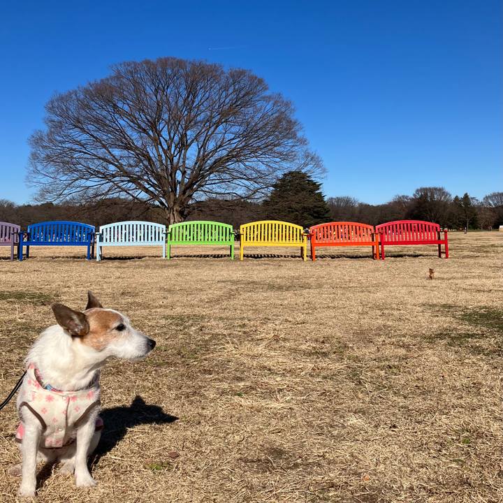 A0e689b9 16b0 46bf a18c ec35cae20654 1703547859493