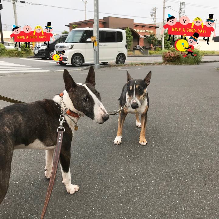 A0e6bad1 6597 4b2a 9175 0fb66f881293 1527410508967