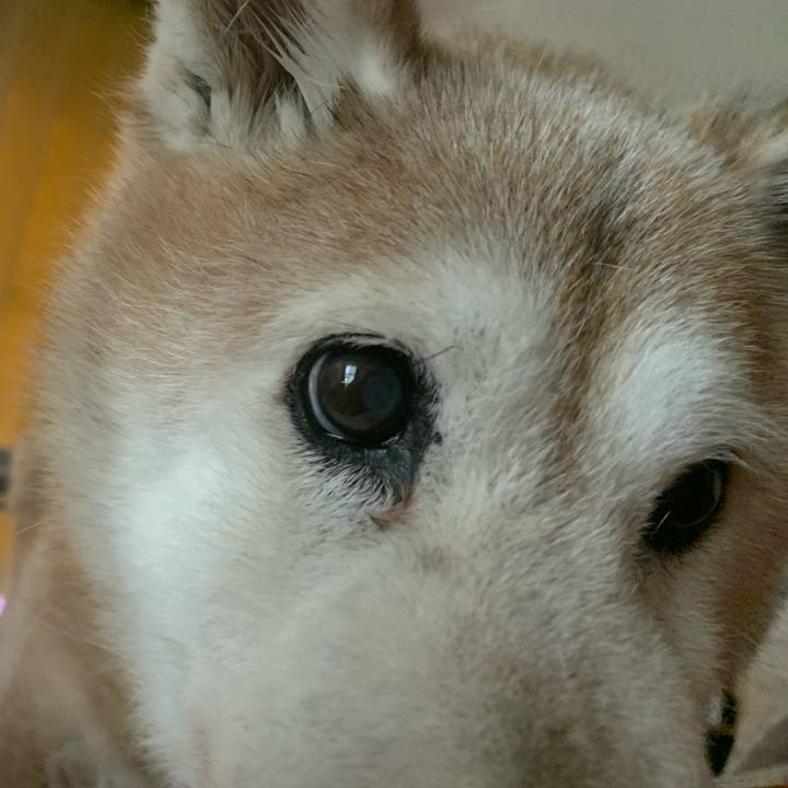 A0e6c455 04ab 4bb1 b9bc 61dcf37b7e44 1659251381798