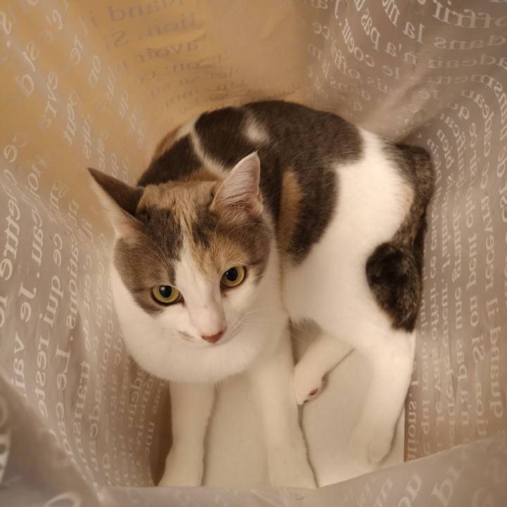 A0e6e33f f849 4ed1 8478 8ec9b3c55d19 1558012950378