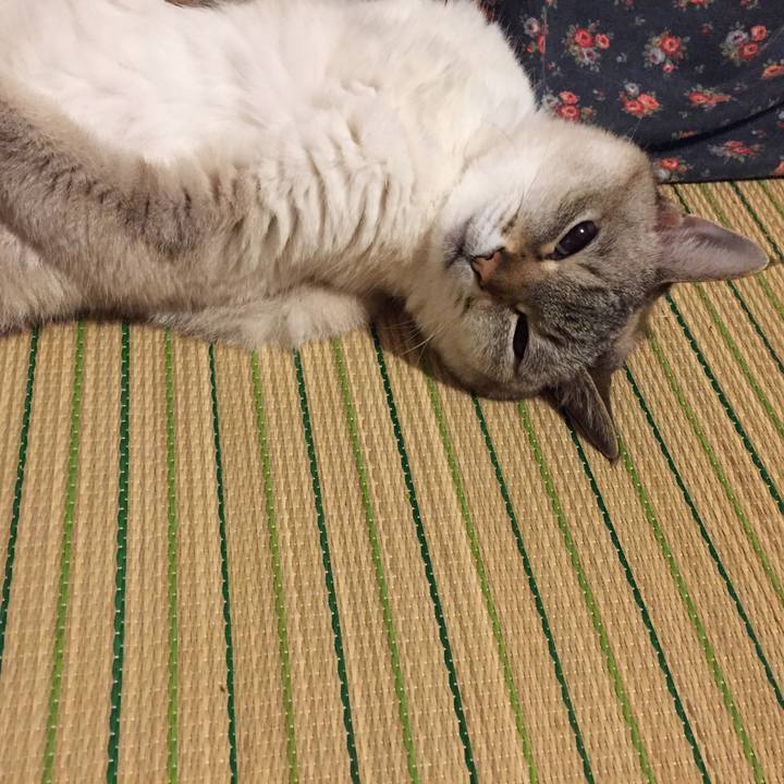 A0e6f9a3 256f 436a 97a1 78ea7999926e 1560426687801