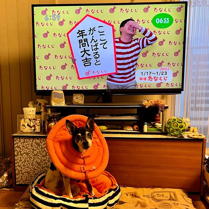 A0e6fb5e 65aa 485a ab9e d323e6fb6c88 1642371755966