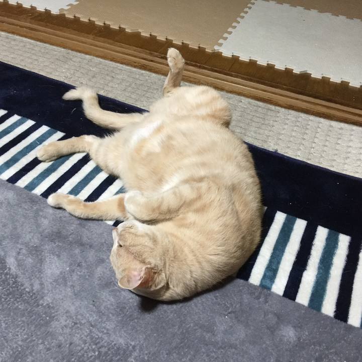 A0e75610 411b 410b 8b5f 827854245f1c 1529585747717