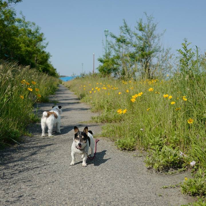 A0e784ba bee6 4610 8848 57444c93edf4 1527998863484