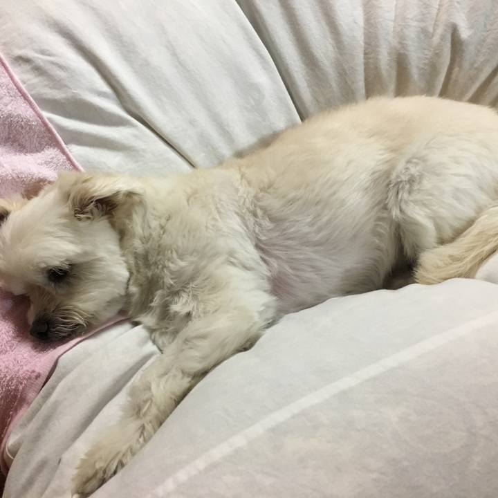 A0e78a6d afa2 4fce 9168 60d47bda7b20 1523441682198