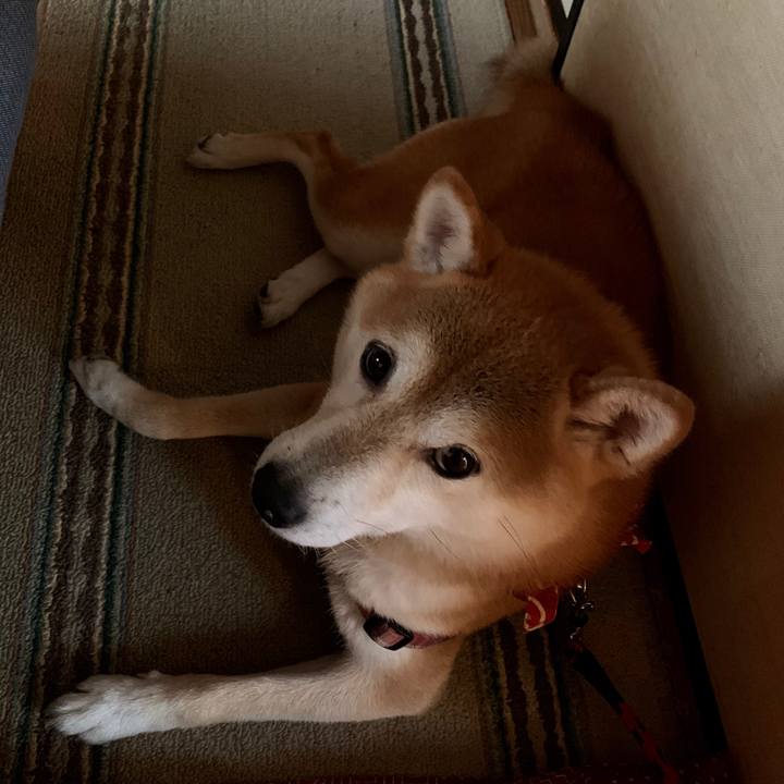 A0e79310 044c 41eb a993 aae0c2d98106 1569835446953