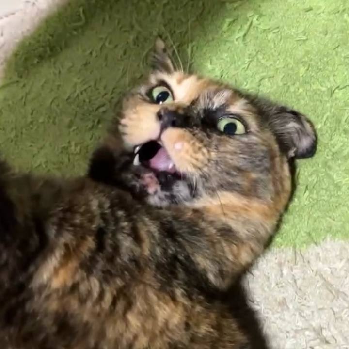 A0e79bf2 4322 47ca baa4 d3697189186f 1743099529091