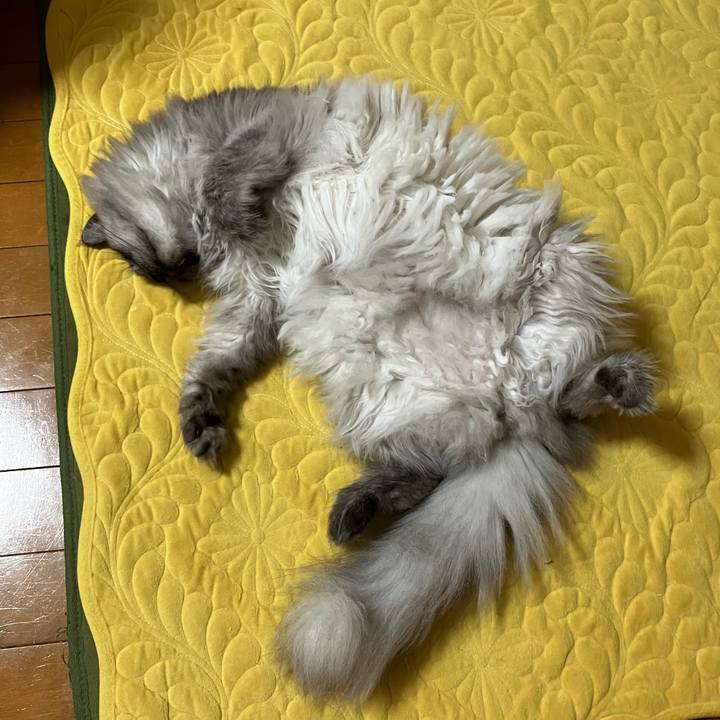 A0e7a488 9610 4a41 ac2b 97ccb8d48050 1749981312909