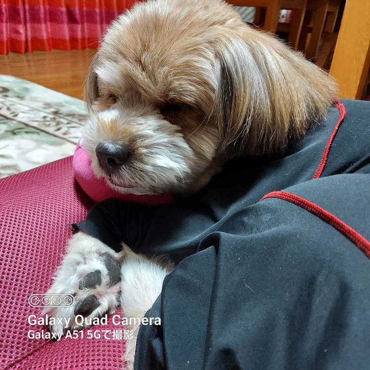 A0e7f856 0062 4f5f a7a3 76ee5c133395 1669206572857