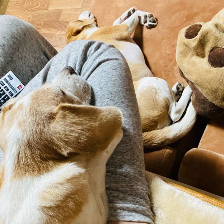 A0e8120c 5ad5 4b6c 8e46 c0c2147d9c63 1623235258503