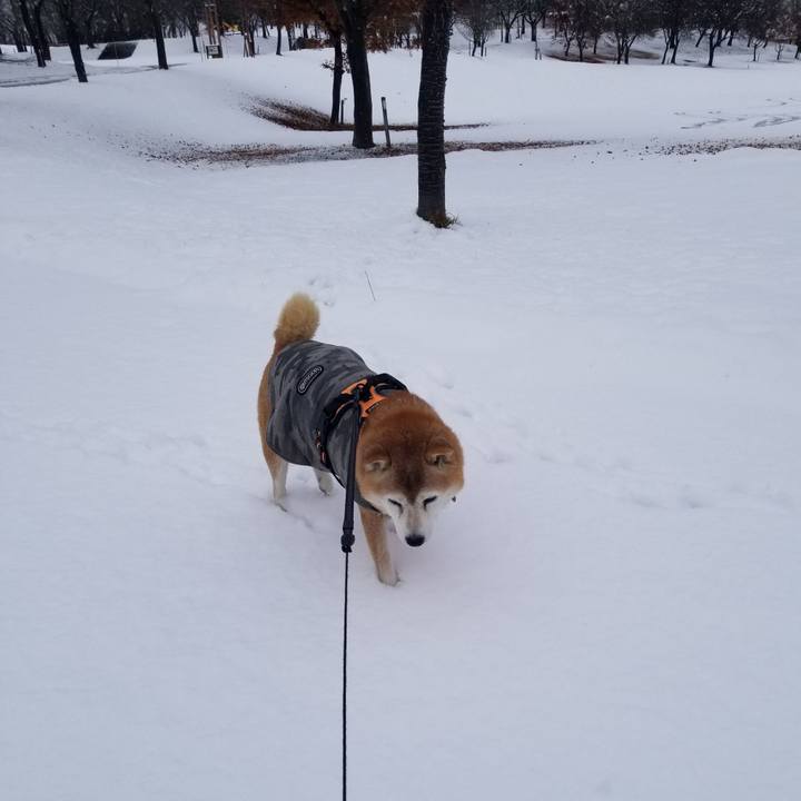 A0e848a2 c8c6 4103 bc3e 1fe6834af420 1733560483565