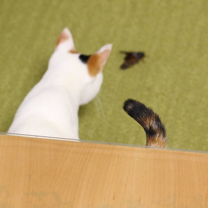 A0e8c0a1 d39d 4ac3 a367 a433bcc6bc57 1567038318274