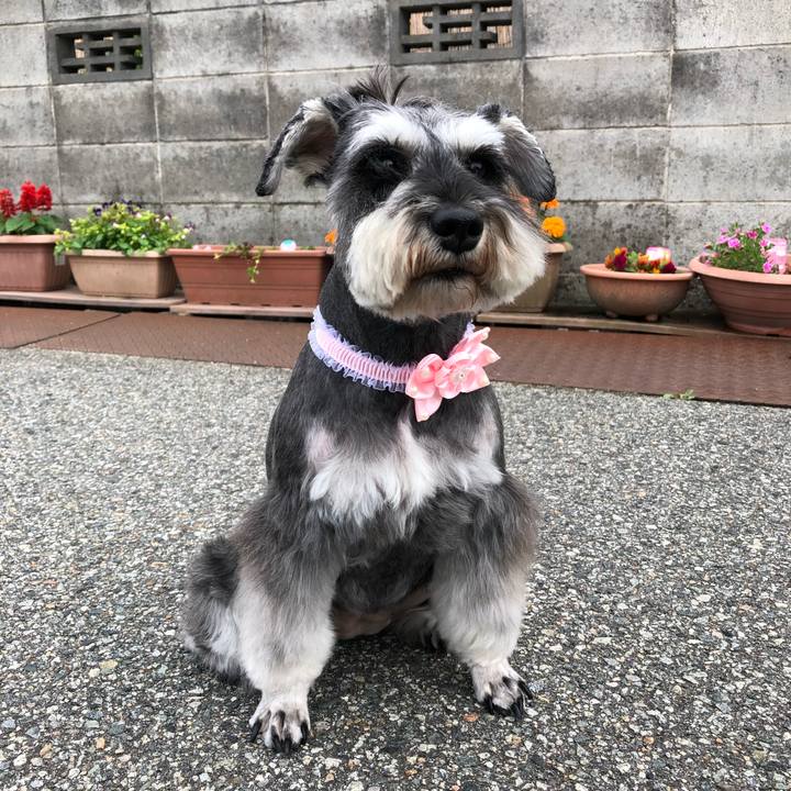 A0e8c51d 4986 4df2 9bec af55a333b068 1623751030698