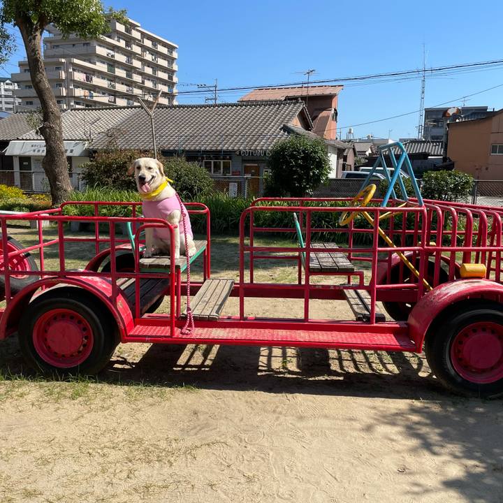 A0e8d032 c7cc 4e5c 8dda c71f155b632f 1633515933861