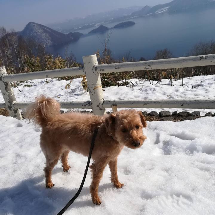 A0e90a9a 9e99 468f 91c0 ea31d01e0d83 1552372103364