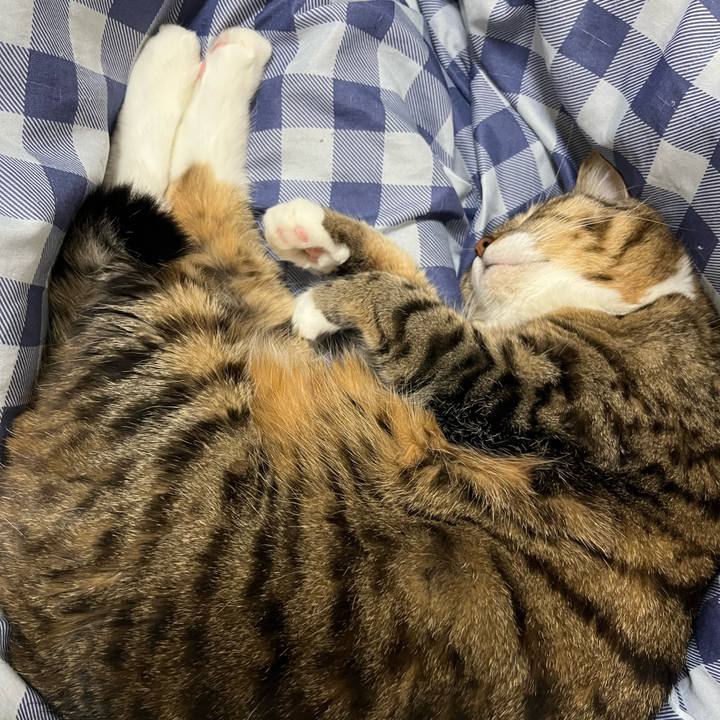 A0e9154c 47a2 4770 beb7 54a031aa1a18 1746713772435