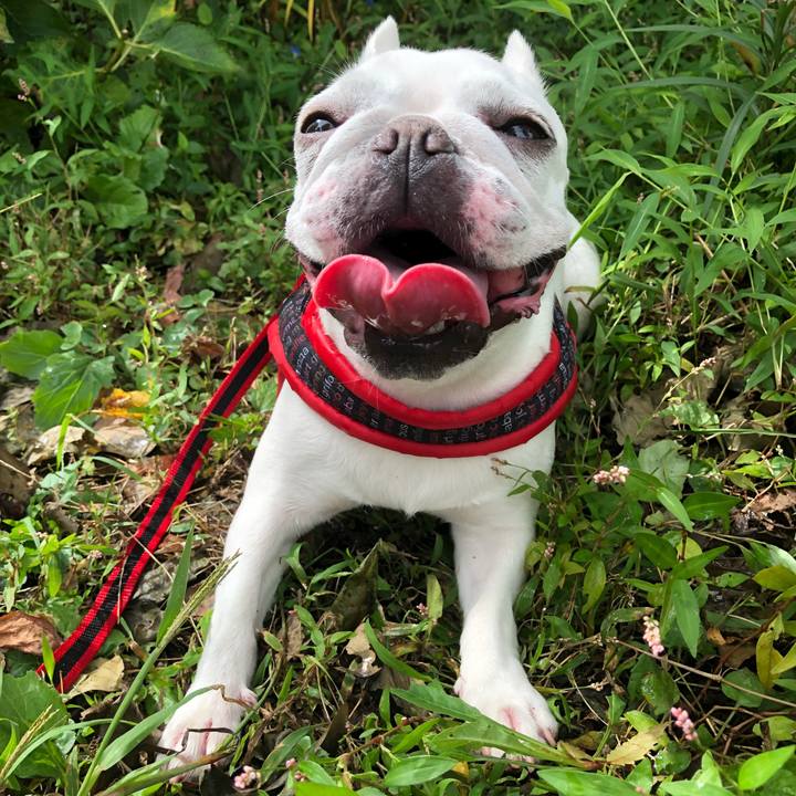 A0e95412 8300 432f be5a 602e13f0bfd0 1538973565381