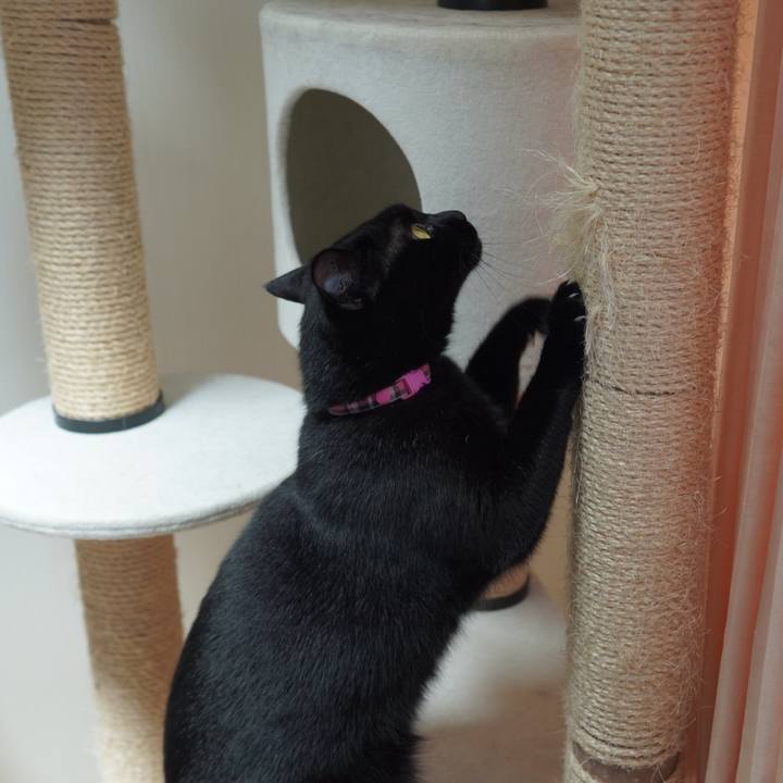 A0e967e6 6bcc 4a77 ae7d 8fbd7e74429a 1595255279977