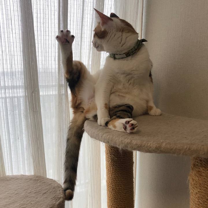 A0e97db1 d6d0 4e6e 8f59 5518191a5bdc 1593042590049