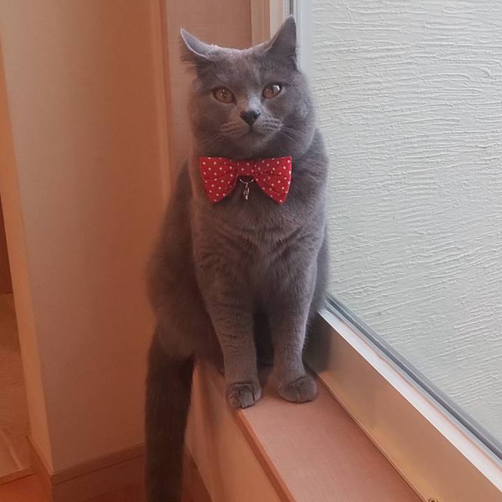 A0e9a70b bd7d 4ed6 92c3 d2665397252c 1545117847557