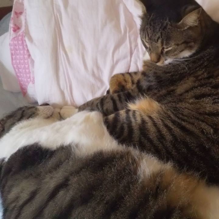 A0e9cf0d 28d8 472a b2ed ba4d55d0b4f3 1661586306874