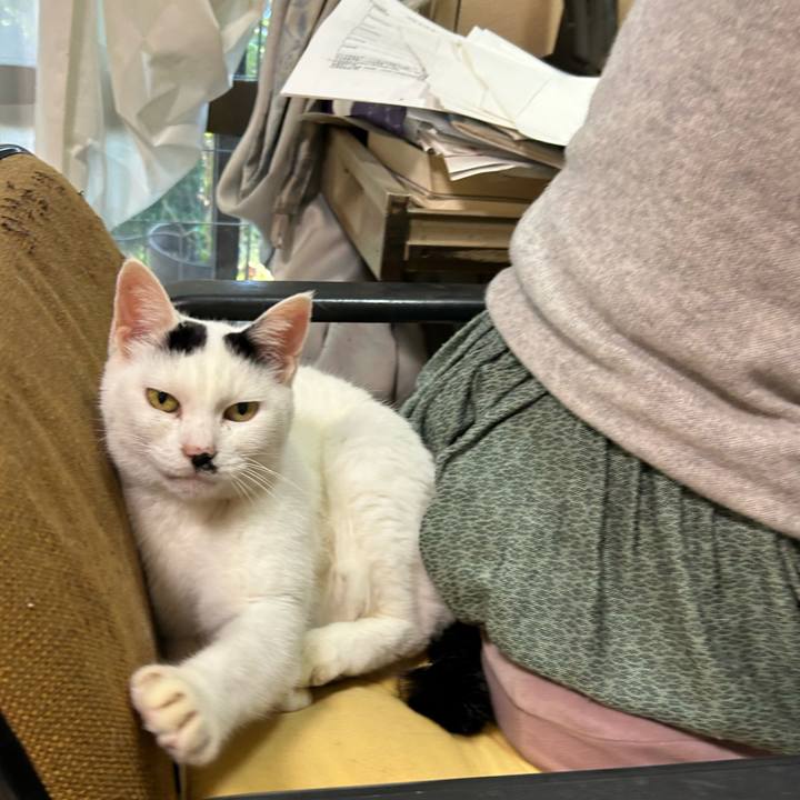 A0e9e47d 6dae 4e17 94d8 f560d43ce27f 1732004985687