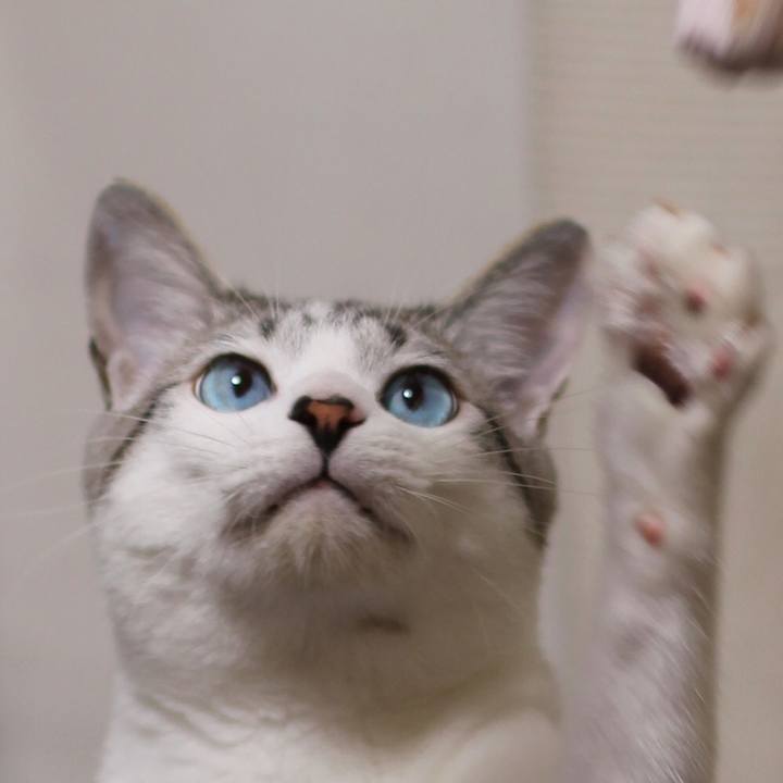 A0ea18a7 5791 47de 8021 9bb078884d7d 1628512369479