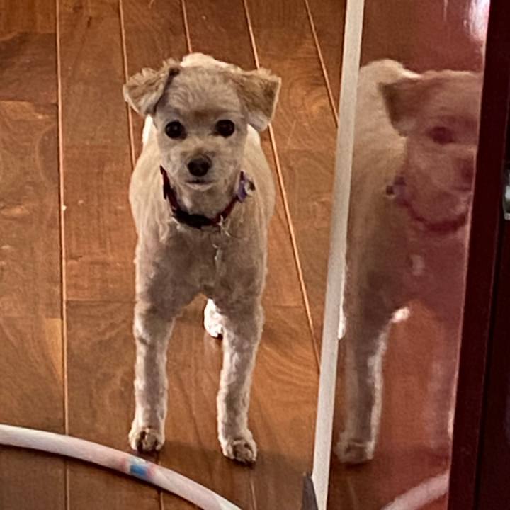 A0ea2be9 2d05 41b5 9bb2 4923820b83c9 1625797745755