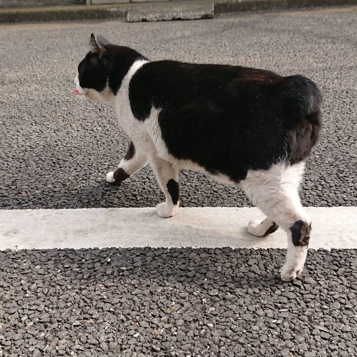 A0ea41b9 9635 40c0 9bf2 82d6095e12d8 1550978169182