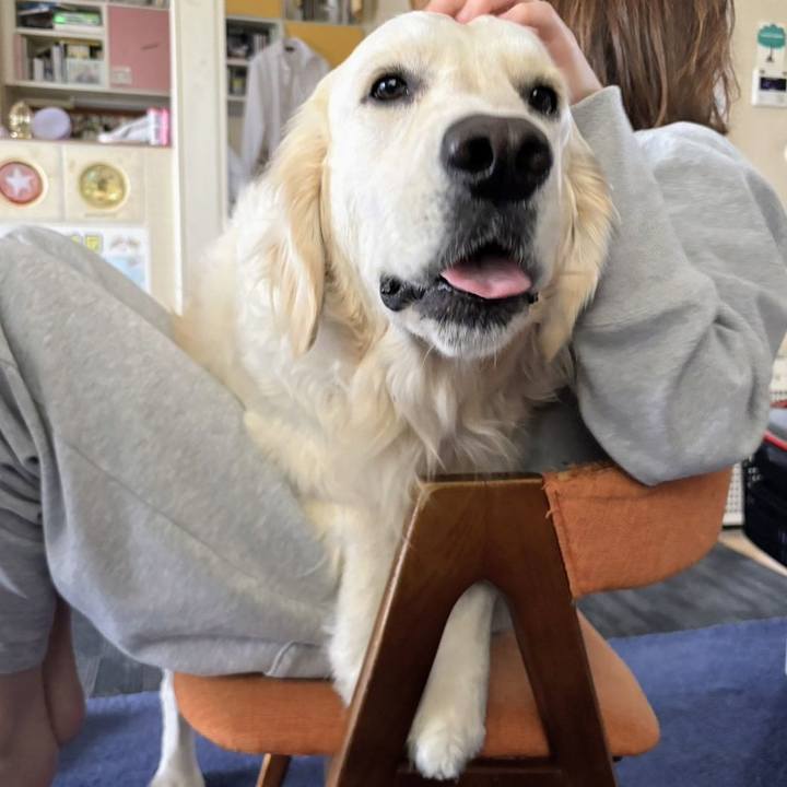 A0ea6071 84a6 4f2b 9e66 8d7d17915a3a 1775532676075