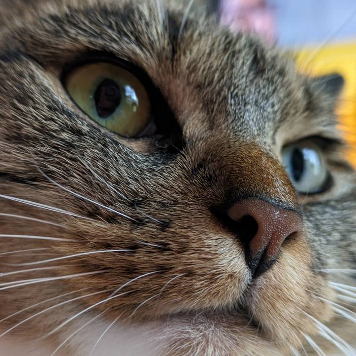 A0ea9957 6fb3 43ea 8c76 8c0d32ebdc4f 1689485505029