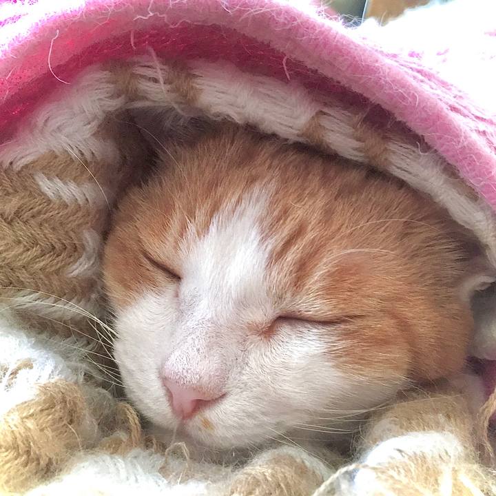 A0eaaebe c9ba 4e89 89e4 5853e7e29fb5 1588054581430