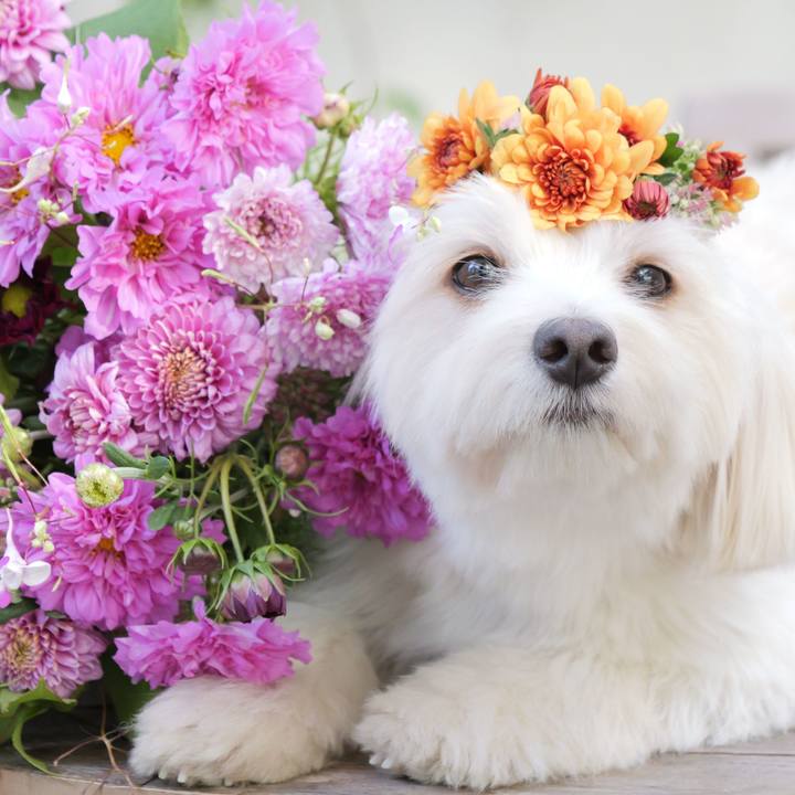 A0eab118 f0a6 4945 a374 03842bd79c34 1757690320636