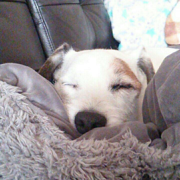 A0eac822 b6f6 4b44 a245 3ff57480ac96 1513811724028