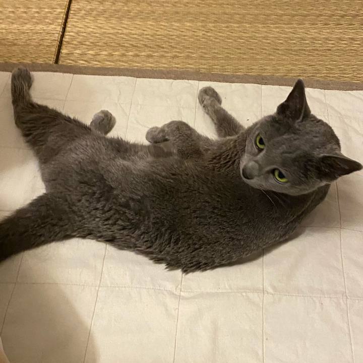 A0eacf01 1878 426f 91bd 69b26e295edc 1584919382904