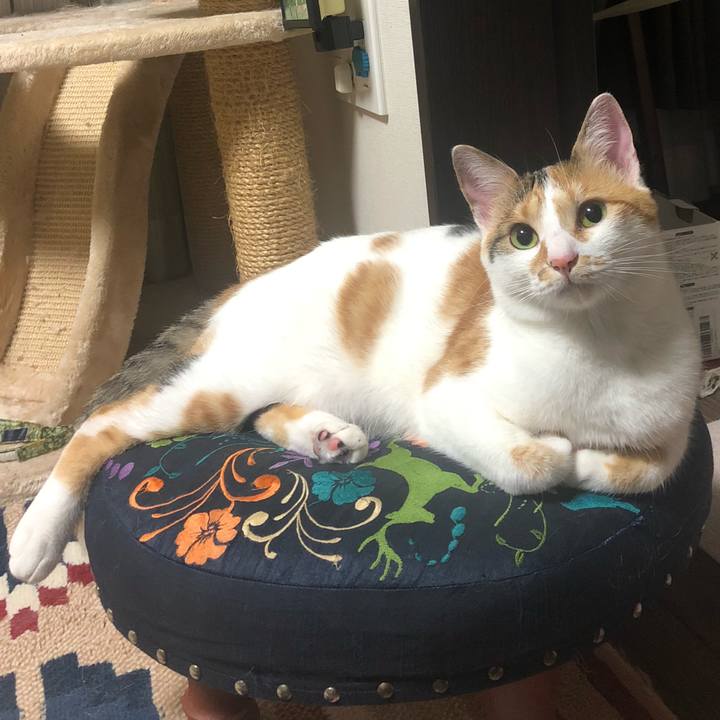 A0ead67d 4f61 470c baf3 d664cbef21f1 1600095958263