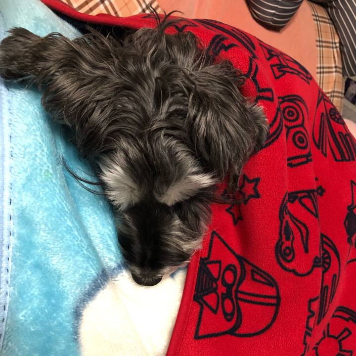 A0eafd6b 9912 4020 87b9 6300e33488e5 1668771758313