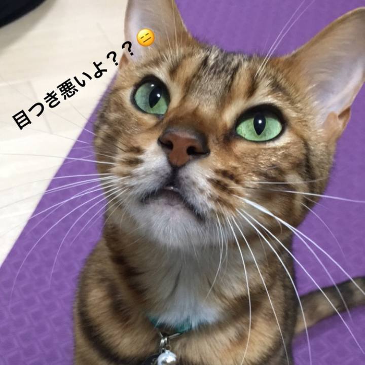 A0eb14ef a742 42bb a9c8 d812e8f49f3e 1510495674236