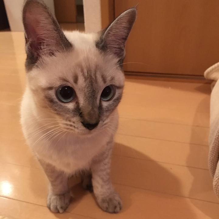 A0eb84c2 a0d5 4bf3 aeeb 752f4e5b98ca 1540468550573